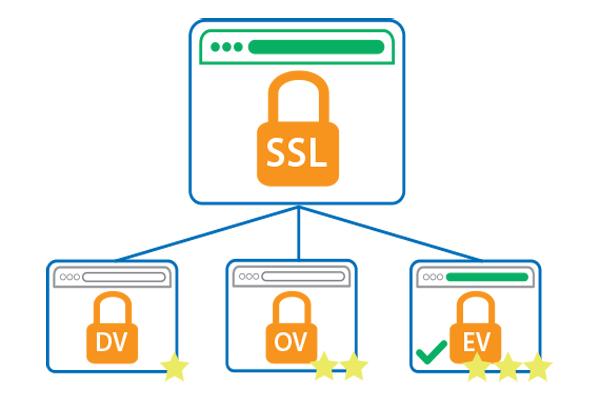 انواع گواهینامه پروتکل SSL