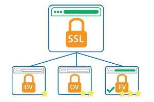 انواع گواهینامه پروتکل SSL